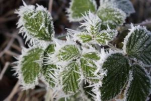 VREMEA se schimbă COMPLET. Meteorologii sunt în ALERTĂ. Nu se AȘTEPTAU la AȘA CEVA