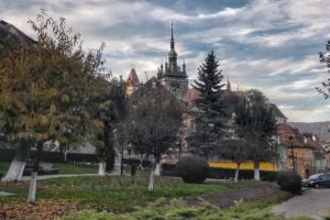 Primăria Sighişoara caută şef serviciu şi şef birou