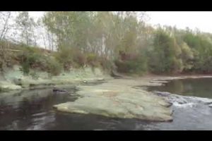 VIDEO: Garda de Mediu, în control la Târgu-Cărbuneşti după apariţia unor imagini REVOLTĂTOARE