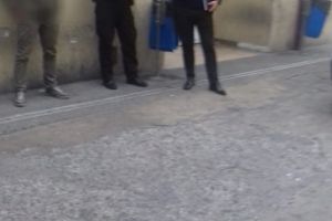 Pericol pe strada Comorova din Constanta. Un caine rasa Amstaff a fost lasat liber. Politistii locali au aplicat amenzi (galerie foto)