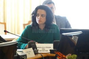 Angelica Fădor vrea să afle de la ministrul Comunicaţiilor de ce Poşta Română nu acceptă ...