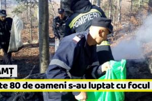 Neamţ: Incendiu de pădure. Peste 80 de oameni s-au luptat cu focul