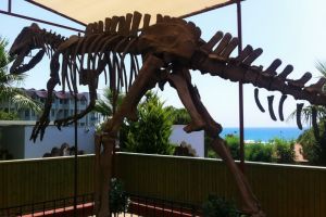 Kids’ Dino Dig: ERA Park Oradea te invită în lumea dinozaurilor! (FOTO)