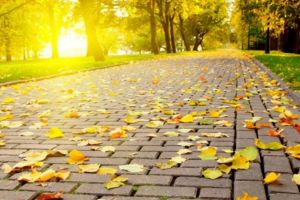 Cel mai călduros noiembrie înregistrat vreodată în judeţul Harghita