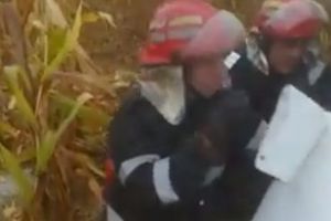 VIDEO – Accident aviatic la Topoloveni. Cercetări la faţa locului