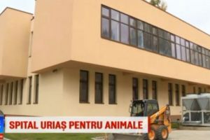 Cel mai mare si modern spital veterinar din Sud-Estul Europei se construieste langa Ploiesti! Investitia, 5 MILIOANE de euro