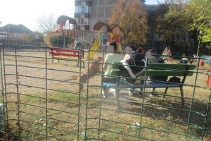 Politia Locala, la vanatoare de caini scosi la plimbare fara lesa pe strazile Timisoarei