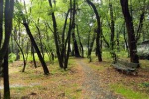 ANM: Valorile medii de temperatura nu mai depasesc 8 grade Celsius, in noiembrie; precipitatiile, in usoara crestere