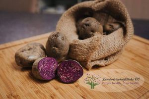 Cea mai sănătoasă legumă se cultivă la Sibiu – Cartofii mov sunt la mare căutare