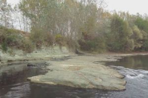 Staţia de epurare de 2,8 milioane de euro a cedat şi dejecţiile din reţeaua de canalizare a oraşului Târgu-Cărbuneşti au ajuns în râul Blahniţa. Aparegio, amendată de Garda de Mediu