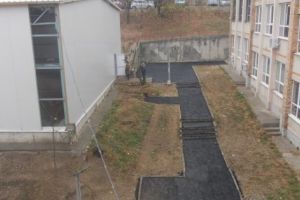 Ionică s-a enervat şi a „descins” la o şcoală din Piteşti!