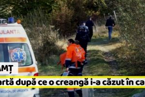 Neamţ: O femeie a decedat după ce o creangă i-a căzut în cap