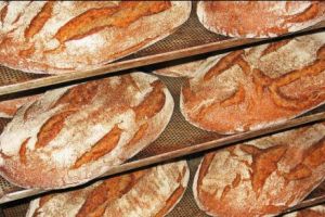 Cu o producţie RECORD la grâu, în ROMÂNIA se SCUMPEȘTE pâinea! 