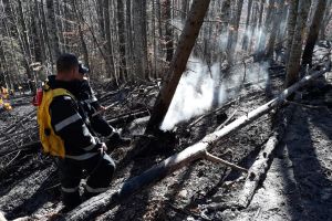 Pompierii au lichidat incendiul de litieră de la Plăieşii de Jos