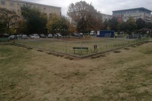 Unde amenajează Primăria Municipiului Arad primul parc destinat recreării patrupezilor