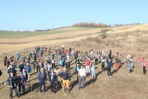 FOTOGALERIE. Peste 100 de stejari plantaţi la Iernut în cinstea eroilor de la Oarba de Mureş, cu ocazia Centenarului