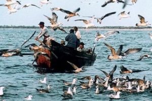 ÎNGRIJORARE în DELTA DUNĂRII. Nivelul scăzut al apei, PERICOL pentru pescuit şi mediul acvatic