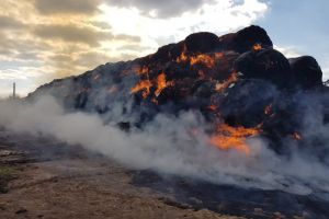 Incendiu de amploare in Ciocarlia, judetul Constanta. Pompierii se lupta de mai multe ore cu flacarile (galerie foto)   