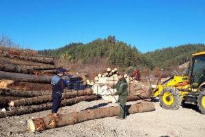 FOTO: Percheziţii la tăietorii de lemne din Vrancea