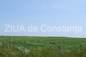 Pod suspendat peste Dunare, intre Braila si Tulcea. Lista persoanelor expropriate si despagubite de Guvern