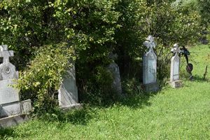 Pro memoria. Eroi din Valea de Brazi