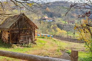 LUNCŞOARA sau tărâmul secret al caselor ce mor în picioare (Galerie foto)