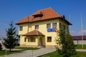 Angajări pe trei posturi vacante, la Primăria Drăguţeşti