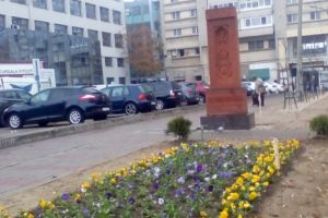 Premieră la Piteşti, pe domeniul public: Copacul Ţigaretă, la „Mobilux”