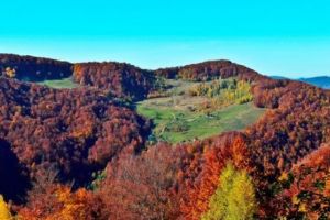 VREME neobişnuită pentru NOIEMBRIE. Ce TEMPERATURI se vor înregistra în următoarele zile