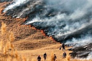 Nordul Californiei în stare de şoc, din cauza incendiului extins pe 7.000 de hectare. Au fost evacuaţi 20.000 de oameni 

