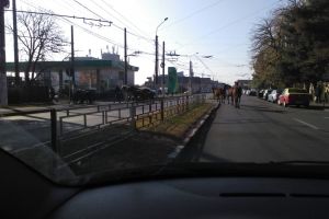 O herghelie de cai a blocat străzile în cartierul Debarcader din Târgu-Jiu!