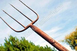 RĂCARI: Bărbat reţinut după ce a agresat două persoane cu o furcă