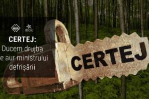 Ministrul Apelor şi Pădurilor primeşte drujba de aur pentru defrişarea a 56 de hectare de pădure
