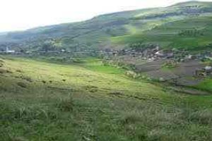 Sfârşit tragic, în drum spre casă