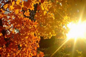 Cum va fi VREMEA în acest weekend: Prognoza meteo pentru sâmbătă şi duminică