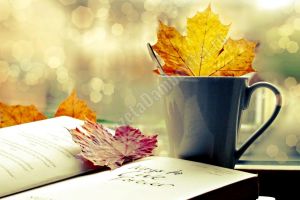 METEO: Cum va fi vremea în acest weekend