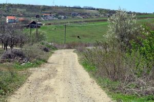 Opt milioane de lei: Drum nou spre Paleu, prin livezile din zona spitalului TBC