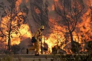 Incendiu DEVASTATOR! Cinci persoane au murit şi aproape 150.000 de persoane au fost EVACUATE