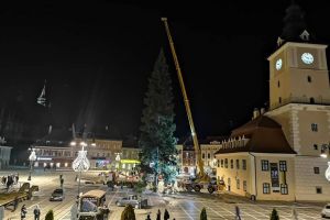 Bradul de Crăciun a fost adus în Piaţa Sfatului