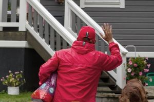 Consiliere nutritionala cu livrare gratuita a produselor alimentare pentru caini si pisici