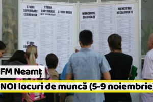 AJOFM Neamţ: 105 NOI locuri de muncă, comunicate în săptămâna 5-9 noiembrie