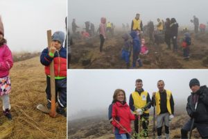 FOTO Acţiune Lions Alba Iulia, alături de localnici: 1.000 de puieţi de salcâm, plantaţi la Ciugud/ Zona se va numi ”Dumbrava Lions”