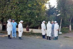 ALERTĂ în judeţul Constanţa. Nou focar de PESTĂ PORCINĂ. Intervine Armata 