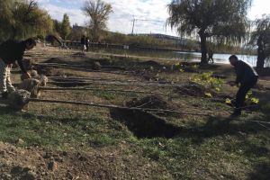 A inceput plantarea de arbori la Pavilionul Exozitional Constanta. Cati copaci vor fi plantati (galerie foto)