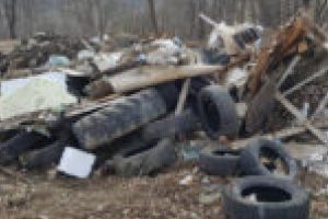 Camera de Comerţ, Industrie şi Agricultură Timiş organizează noi cursuri de responsabil de mediu