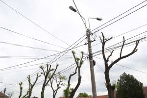 15.000 de euro pentru extinderea retelei publice de Wi-Fi din Timisoara