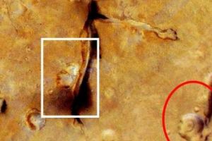 O nouă DOVADĂ a EXTRATEREȘTRILOR pe Marte? Ce spun oamenii de ştiinţă?