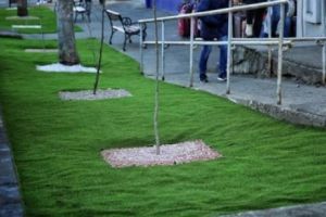 Gazonul articificial este rezolvarea Primăriei Bacău a problemei spaţiilor verzi! Nu îţi vine să crezi cum arată oraşul