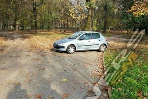 FOTO. La plimbare cu maşina, pe aleile din Grădina Romei