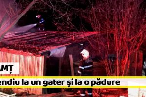 Neamţ: Intervenţii ale pompierilor în această seară. Incendiu la un gater şi la o zonă de pădure
